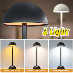 Eye Protection Study Lamp
