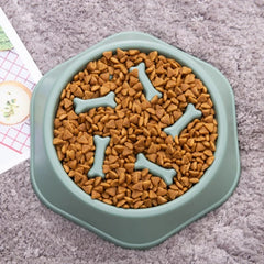 Pet Slow Feed Bowl